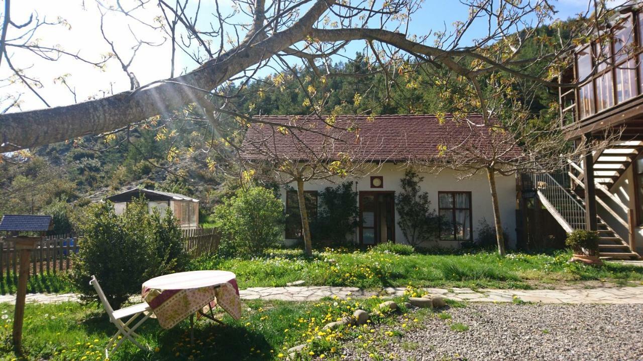 Casa Turreta Apartamento Ansó Exterior foto